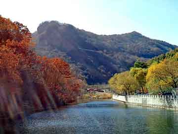 新澳精准资料免费大全，山东龙口海景房价格